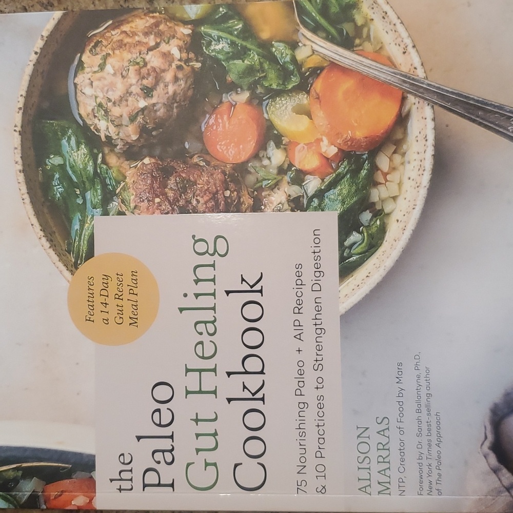 The Paleo Gut Healing Cookbook